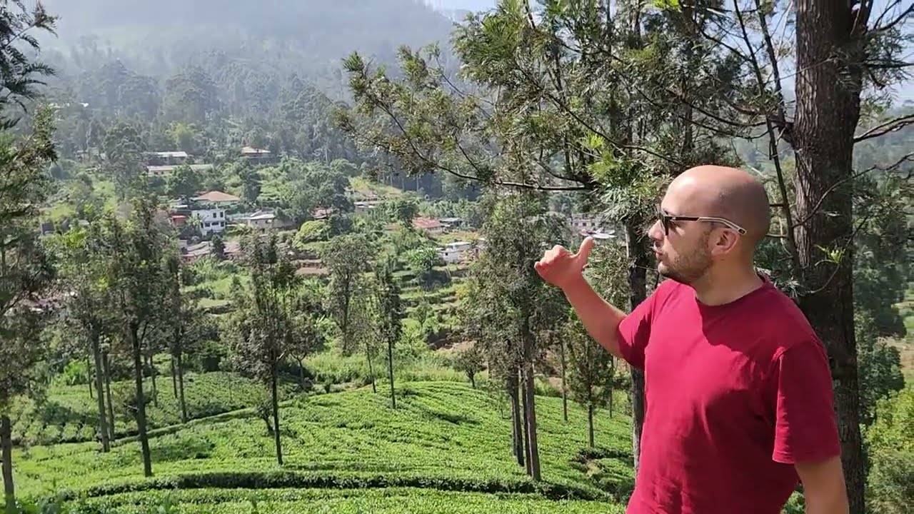 Culturile de ceai din Sri Lanka - Povestea ceaiului si minunata calatorie cu trenul - Ella - Kandy