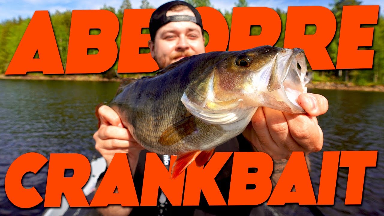 STOR ABBORRE PÅ CRANKBAIT! - Mothugget med Alex