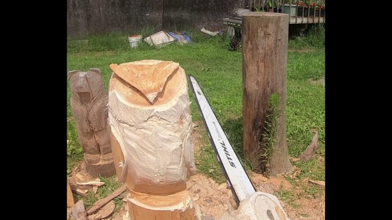 Chainsaw Carving An Owl