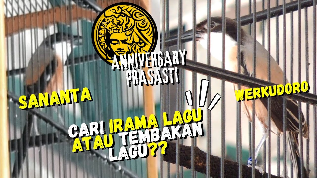 Cendet WERKUDORO VS Sananta😱Cari IRAMA LAGU atau Tembakan Lagu Sih? #anniversaryprasasti