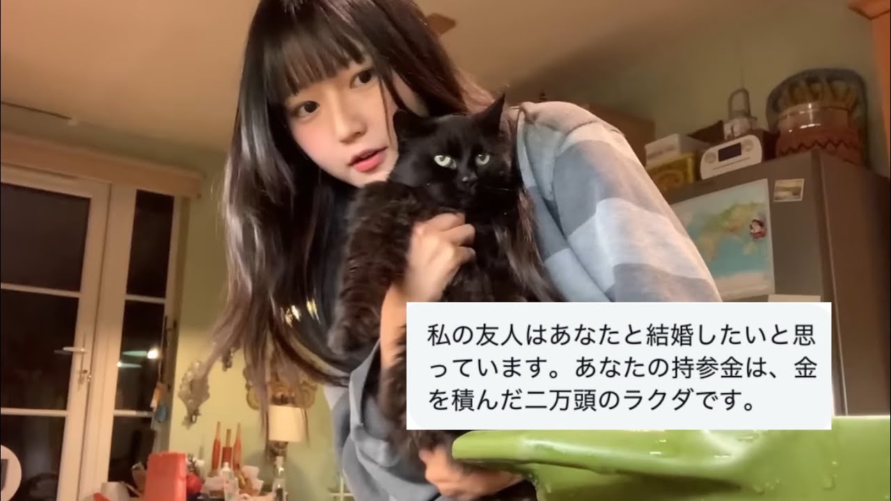 アラブで勝手に私の婚活が始まったらしい