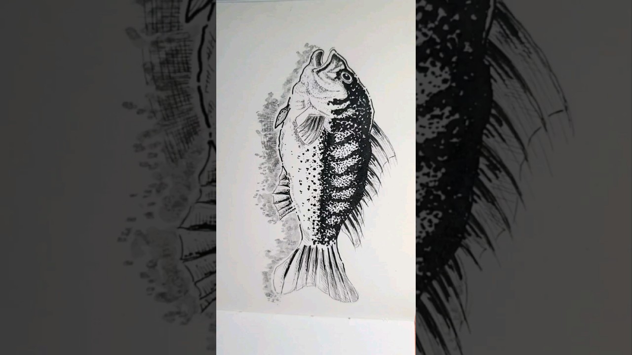 Daily sketch, Pentel brush, Rotring isograph and pentel technical pen, Music: Balmorhea winter