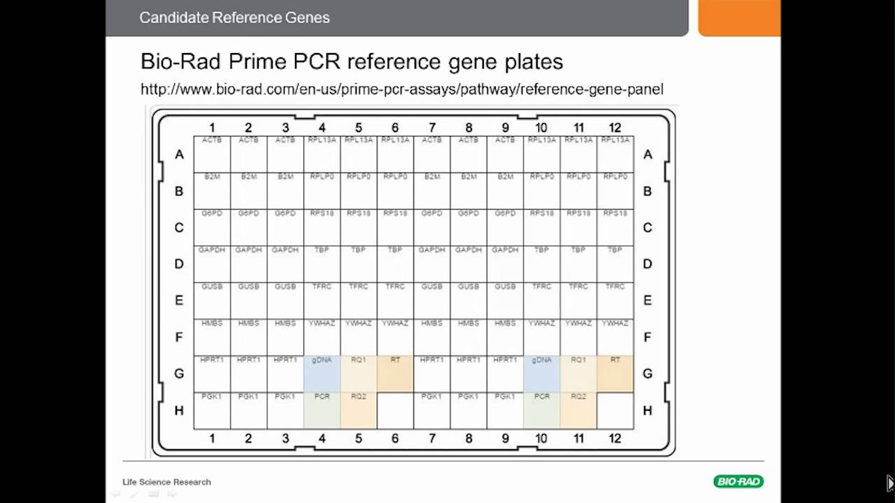 Learn Why You Might Be One of the 90% Using Unsuitable qPCR Reference Genes