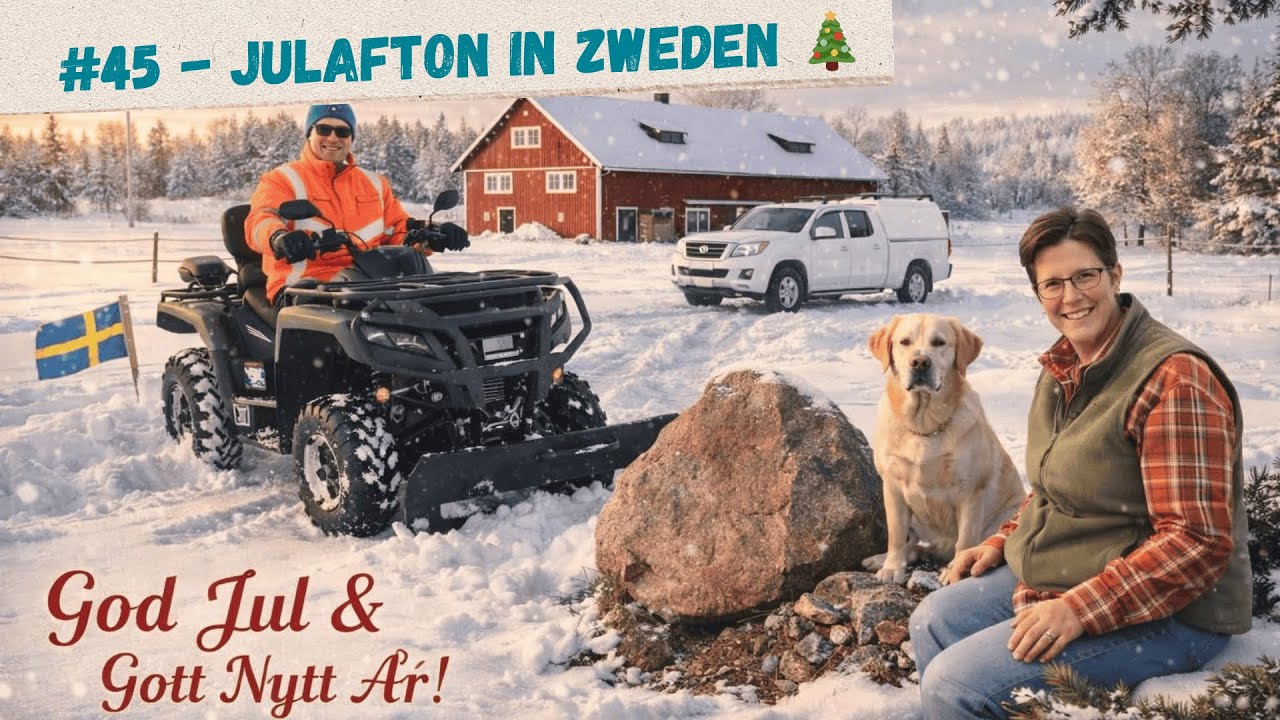 #45 - Onze kerst in Zweden | Rivka naar de dierenarts & voorbereidingen voor Julafton