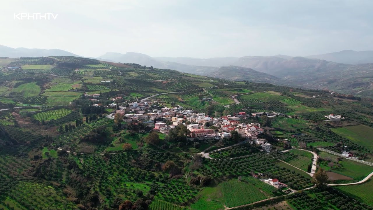 Καλά θα Πάει Αυτό | Κυπαρίσσι