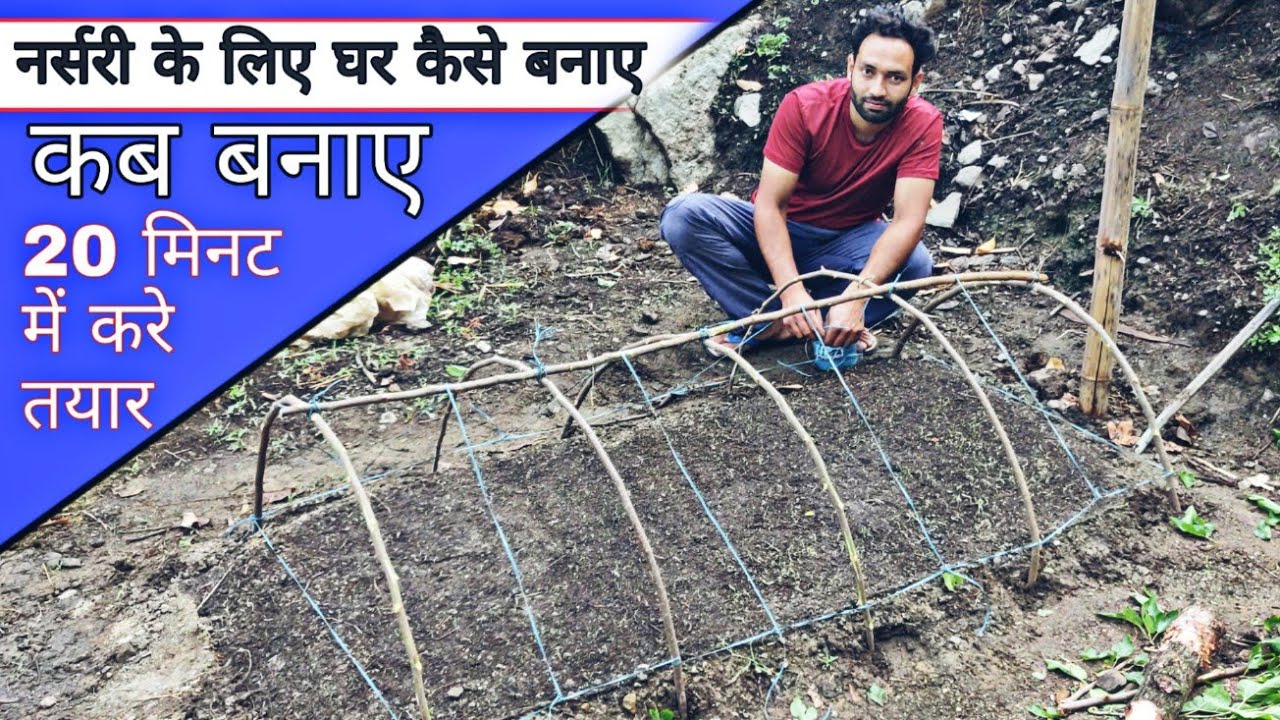 नर्सरी के लिए डूम कैसे बनाए | nursery kaise dale | Praveen Thakur