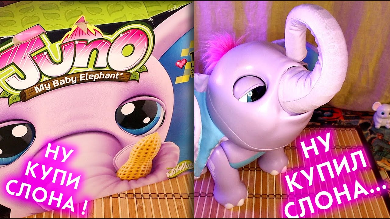 КУПИЛ СЛОНА Джуно интерактивный Слоник Умная Игрушка JUNO My Baby Elephant
