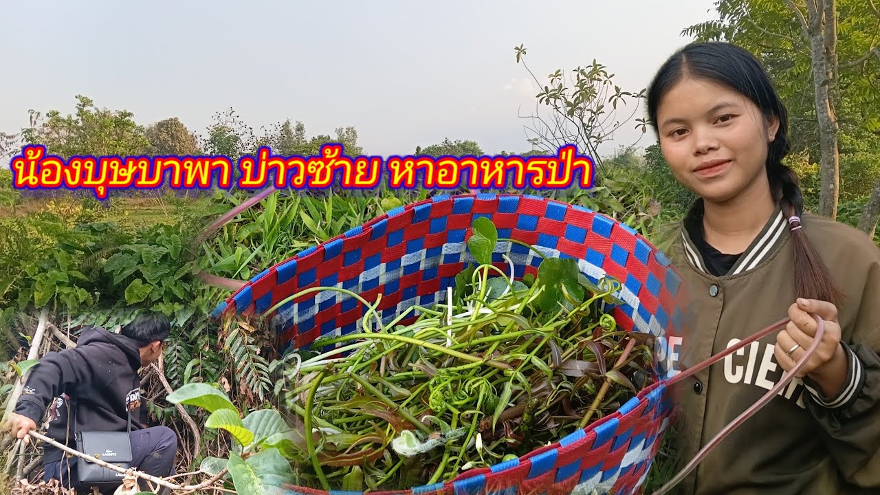 วันนี้ น้องบุษบาพาบ่าวซ้าย เลาะป่าหาผัก!! 16 กุมภาพันธ์ ค.ศ. 2026