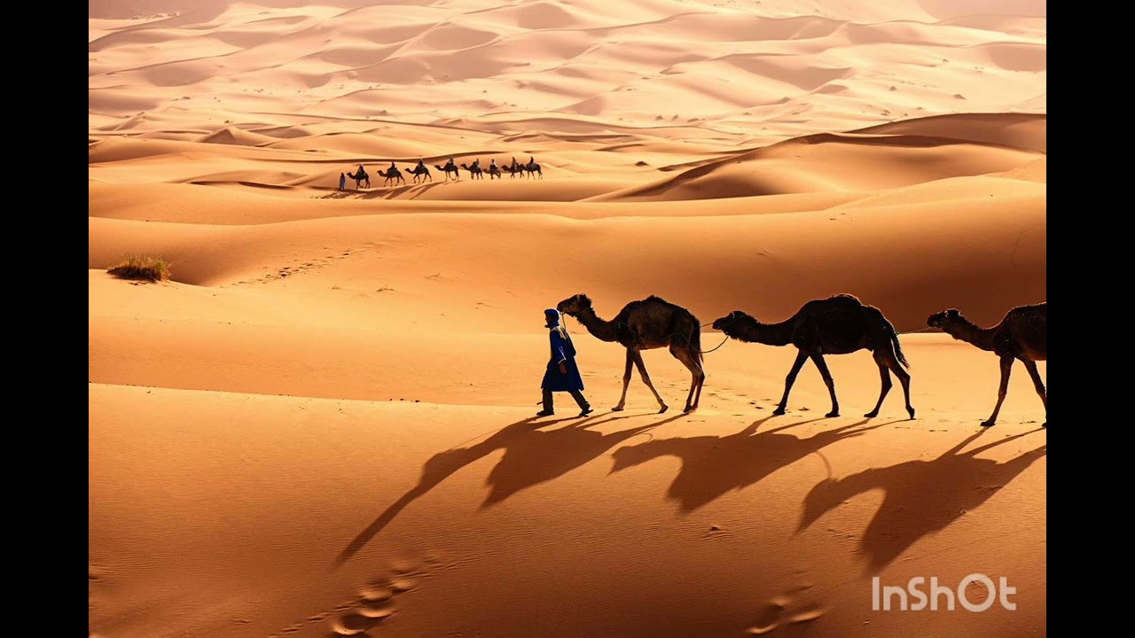 Ms Dj Zaku- Desert .. Remix 