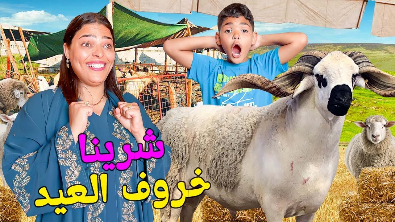 اخيرا..اشتريت خروف العيد 🐏 بدون علم زوجتي وابني‼️ملي شافوه تصدموا 😱