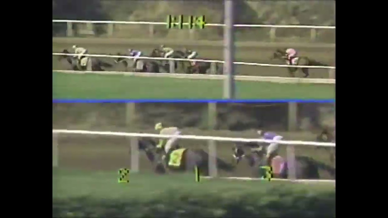 Prized runs down Sunday Silence in the 1989 Swaps Stakes