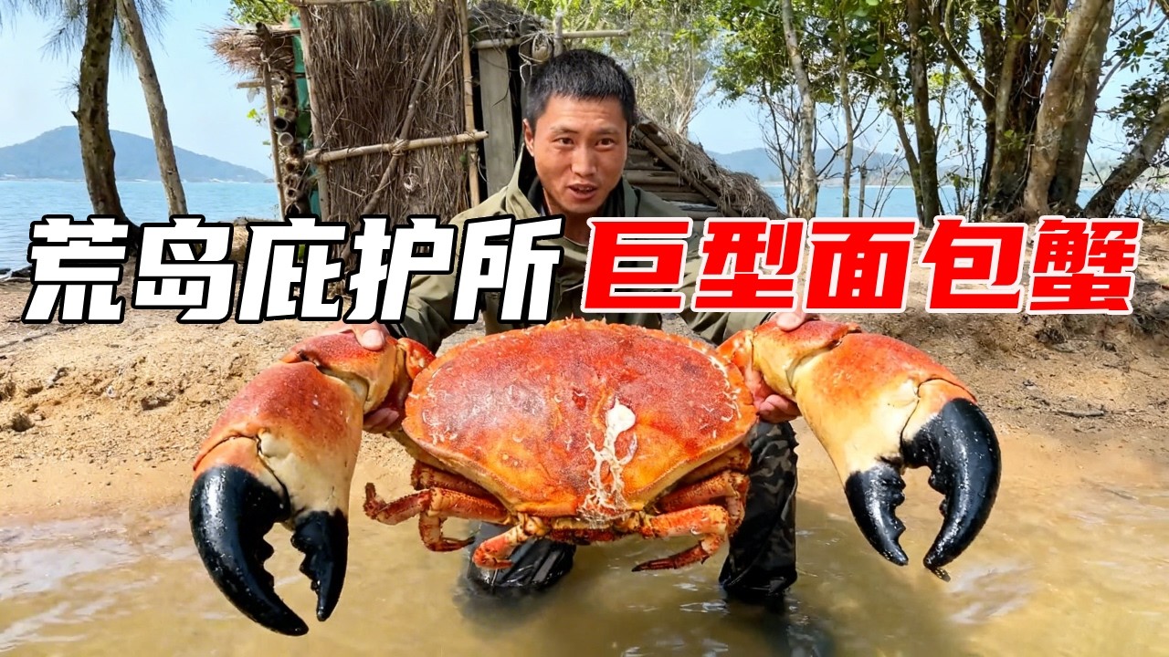 带着美女徒弟住荒岛庇护所，捡到巨型面包蟹吃海鲜大餐，制作大型九尺钉耙实现蛤蜊自由【户外平头哥】