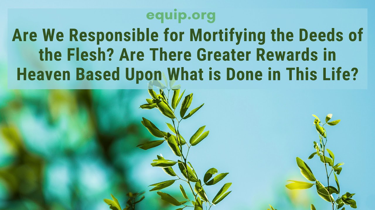 Must We Mortify Deeds of the Flesh? Are Rewards in Heaven Based on Actions in this Life?