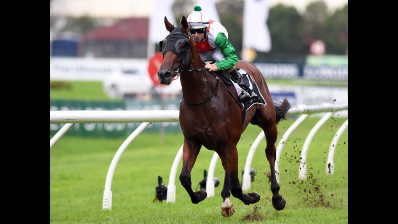 Flemington trackwork: results, times, video highlights