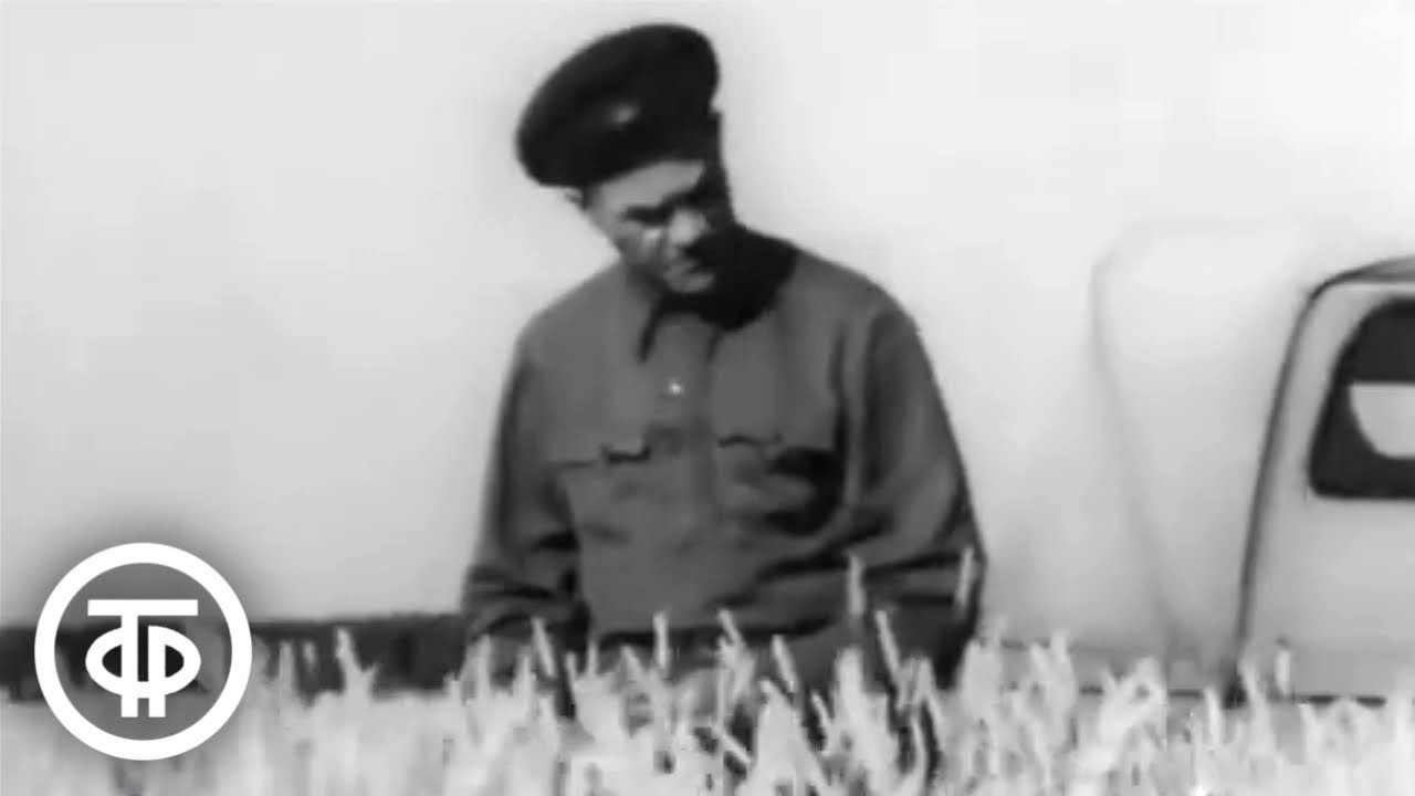 Труды и дни Терентия Мальцева. Документальный фильм (1971)