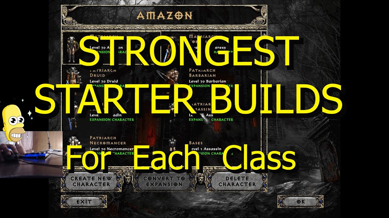[Project Diablo 2] The BEST Season Starter Builds For Each Class