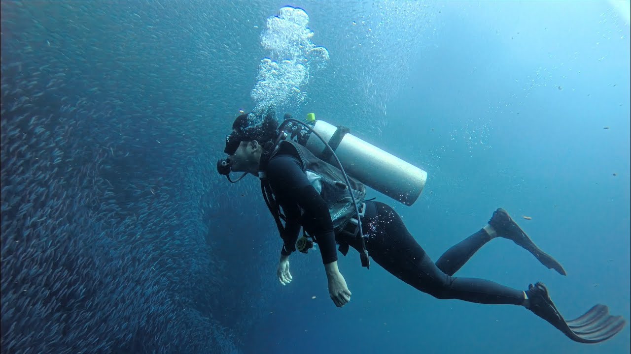 Non-Swimmer with Poor Eyesight Tries Scuba Diving in Moalboal, Cebu 