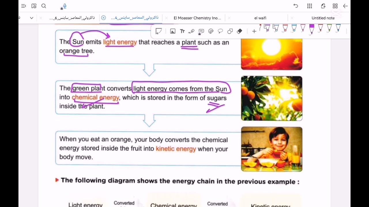 Science prim 4 Concept one lesson 2 