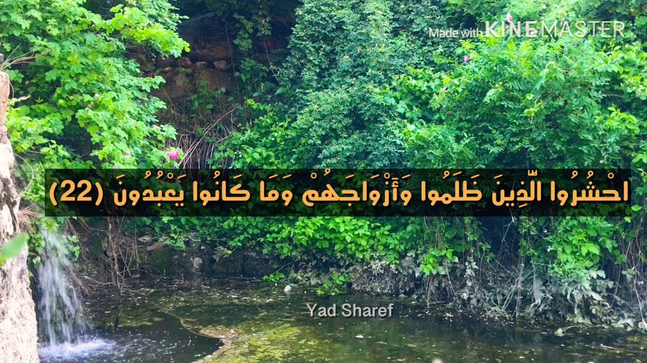 رعد الكردي  raadalkurdy