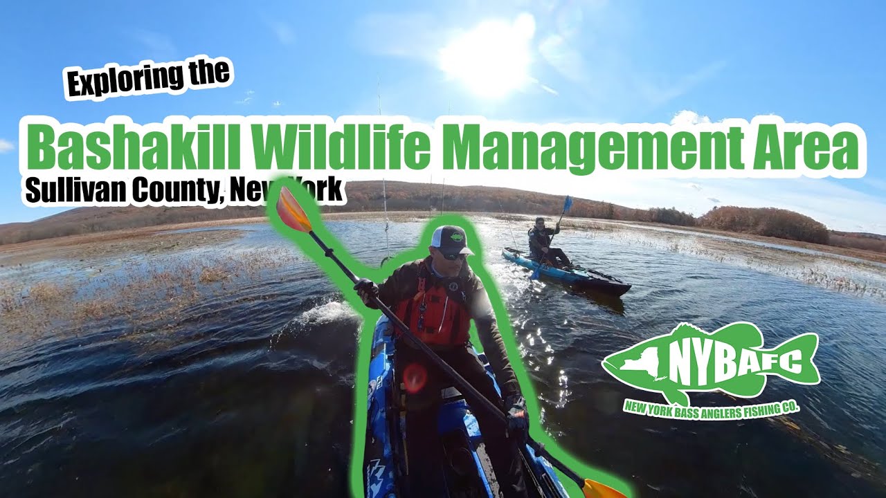 Exploring the Basha Kill Marsh.