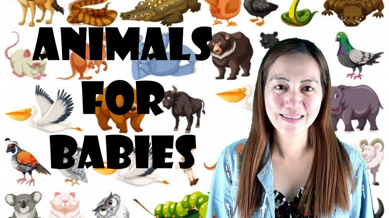 Animals around us  - English for Babies Episode 1 for Kindergarten ESL Learners