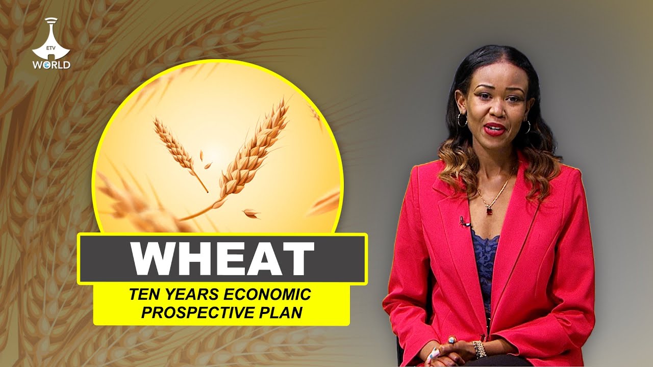 Ethiopia's Future Hope, Buying and importing Wheat will become history.