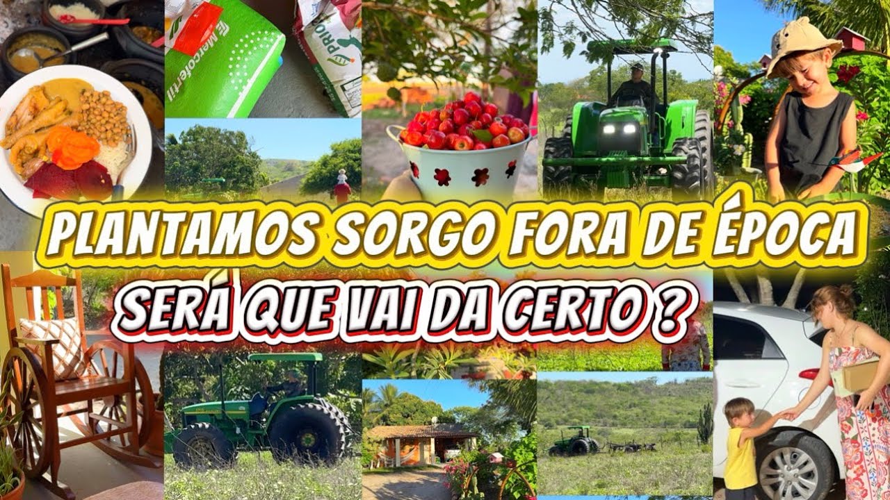 APROVEITANDO AS CHUVAS NO SERTÃO / INAUGURANDO MINHAS PANELAS DE BARRO 