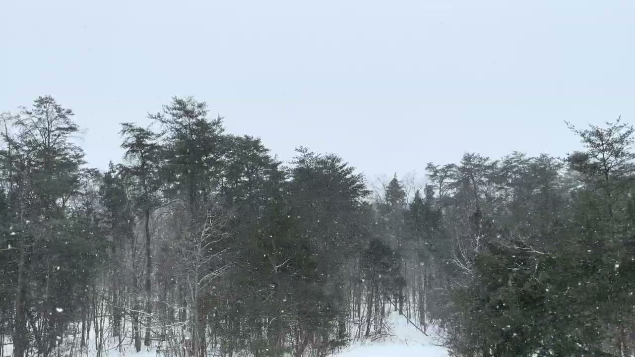 kentucky snow storm - january 2026