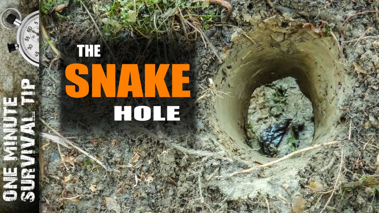 Snake Hole Fire: Quick & Hot Survival Fire for Rain & Wind!