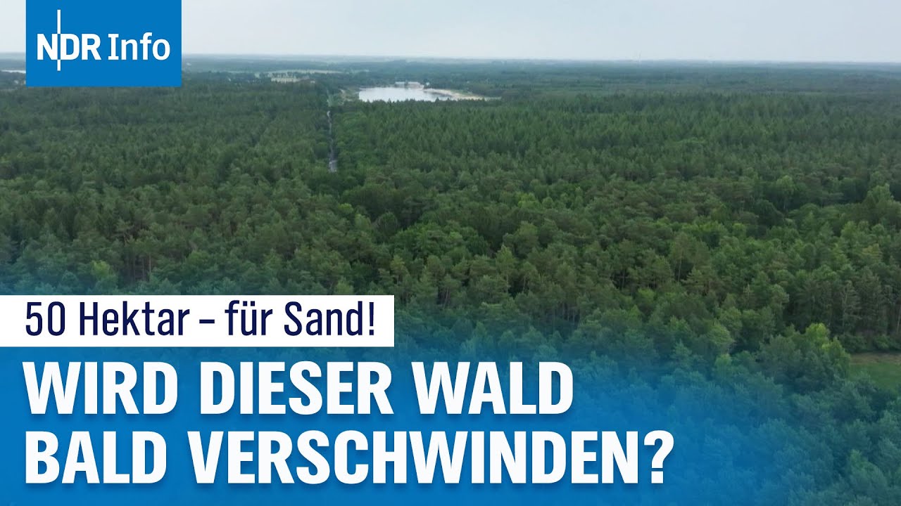 Quarzsand-Abbau in Friesland: Anwohner kämpfen für den Wald | NDR Info