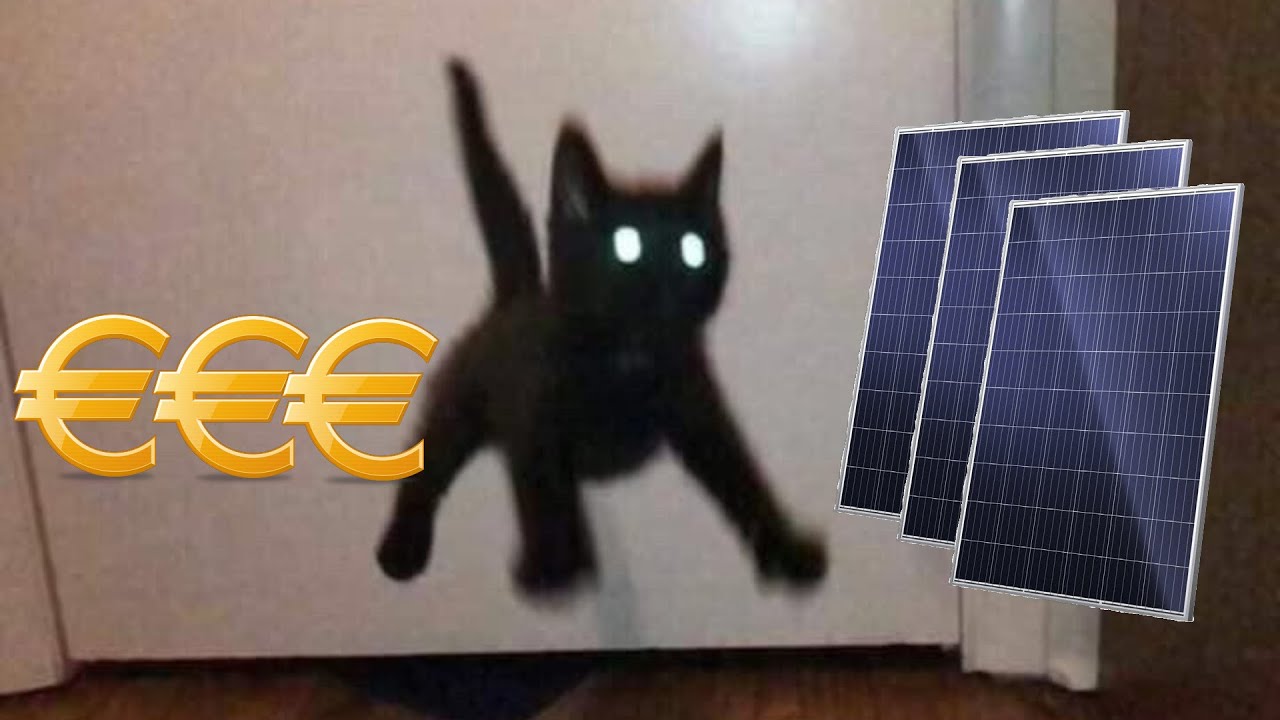 Energie trukendoos: kat in het nauw?