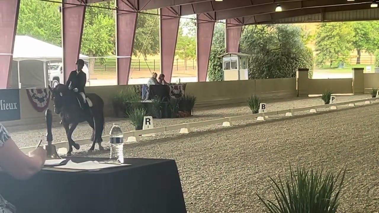 Fourth Level freestyle, Region 7 Championships, 70%