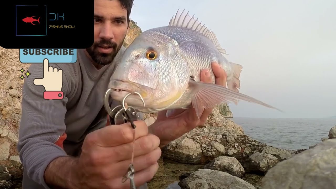 Shore Jigging & Spinning στους Κόλπους της Πελοποννήσου...