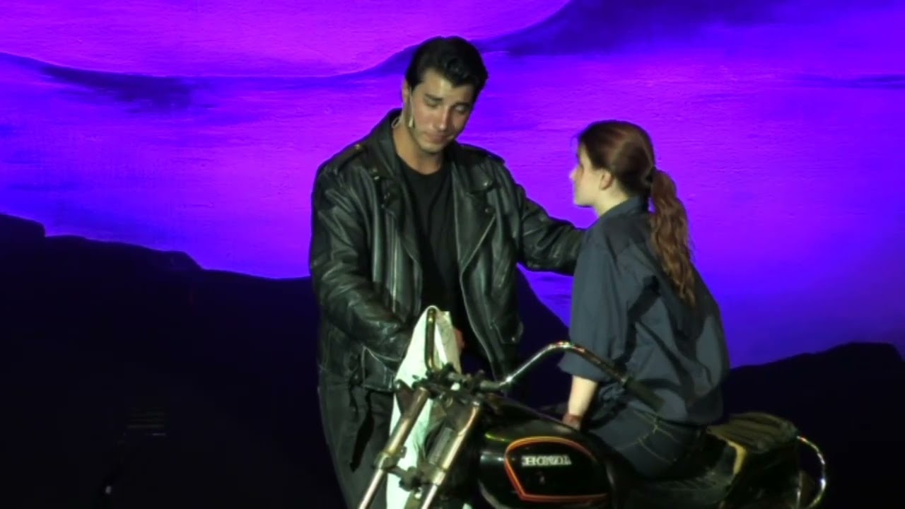 Follow That Dream from All Shook Up