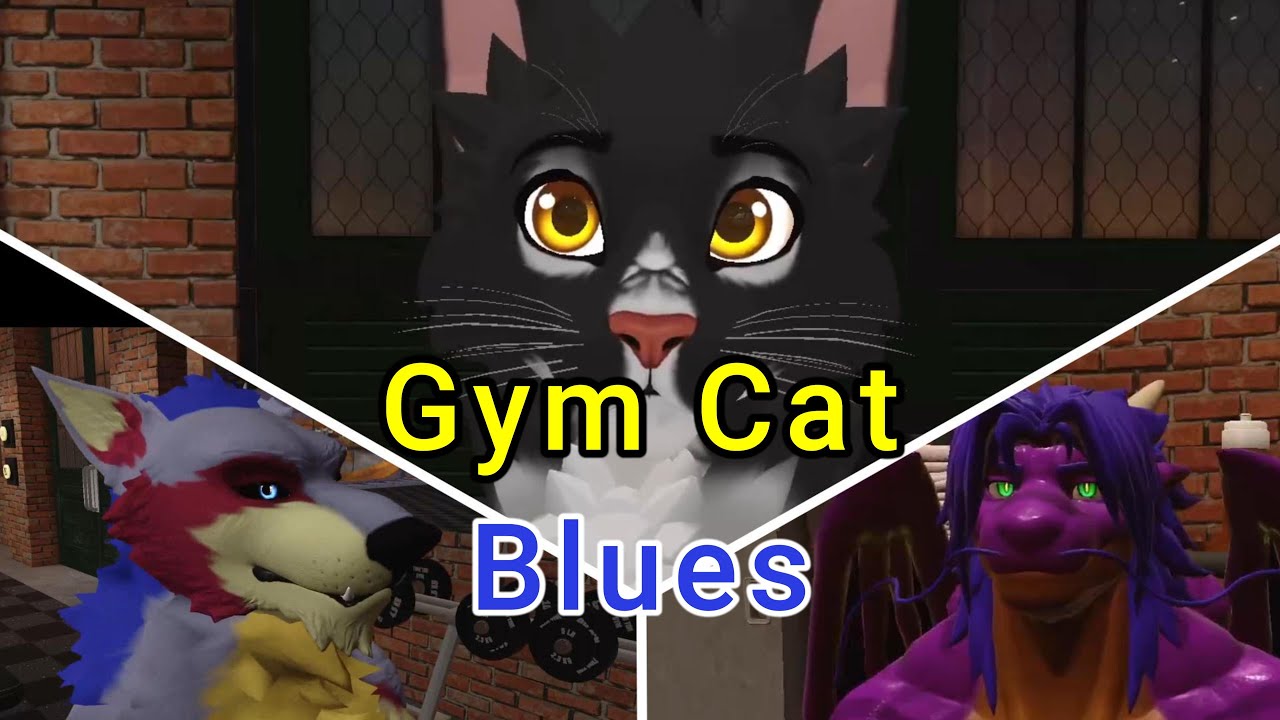 Gym Cat Blues