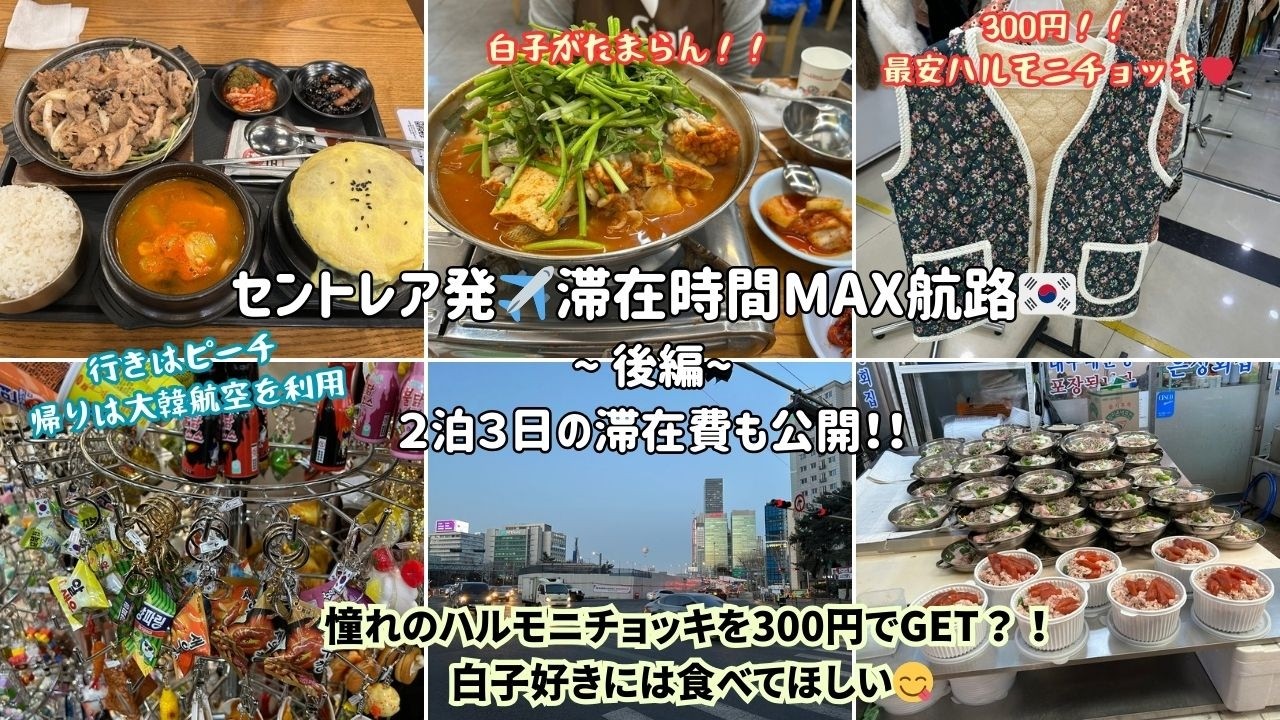 【シニア母とのソウル旅②】激うま白子鍋＆穴場な永登浦のデパートエリアや激安ショップも紹介💡人気のハルモニチョッキ300円！２泊３日の滞在費も公開！