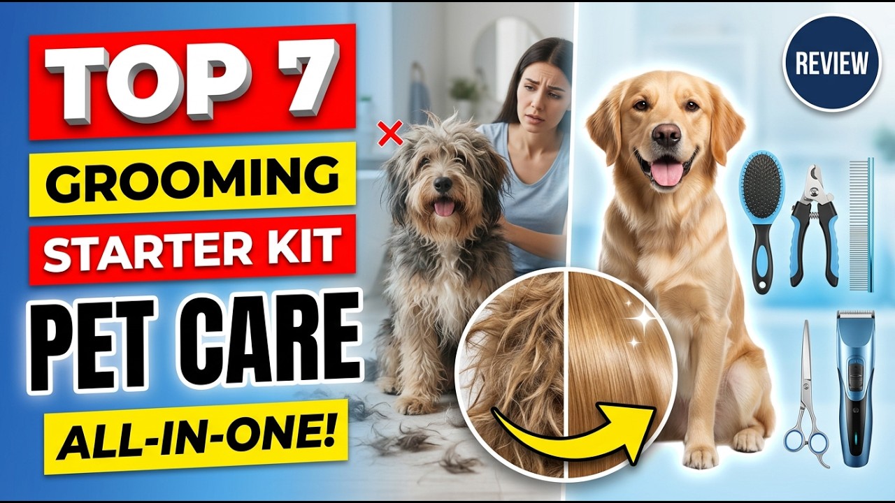 Best Dog Grooming Kit | Top 7 Best Pet Grooming Starter Kit Review (Exclusive) buying guide 2026