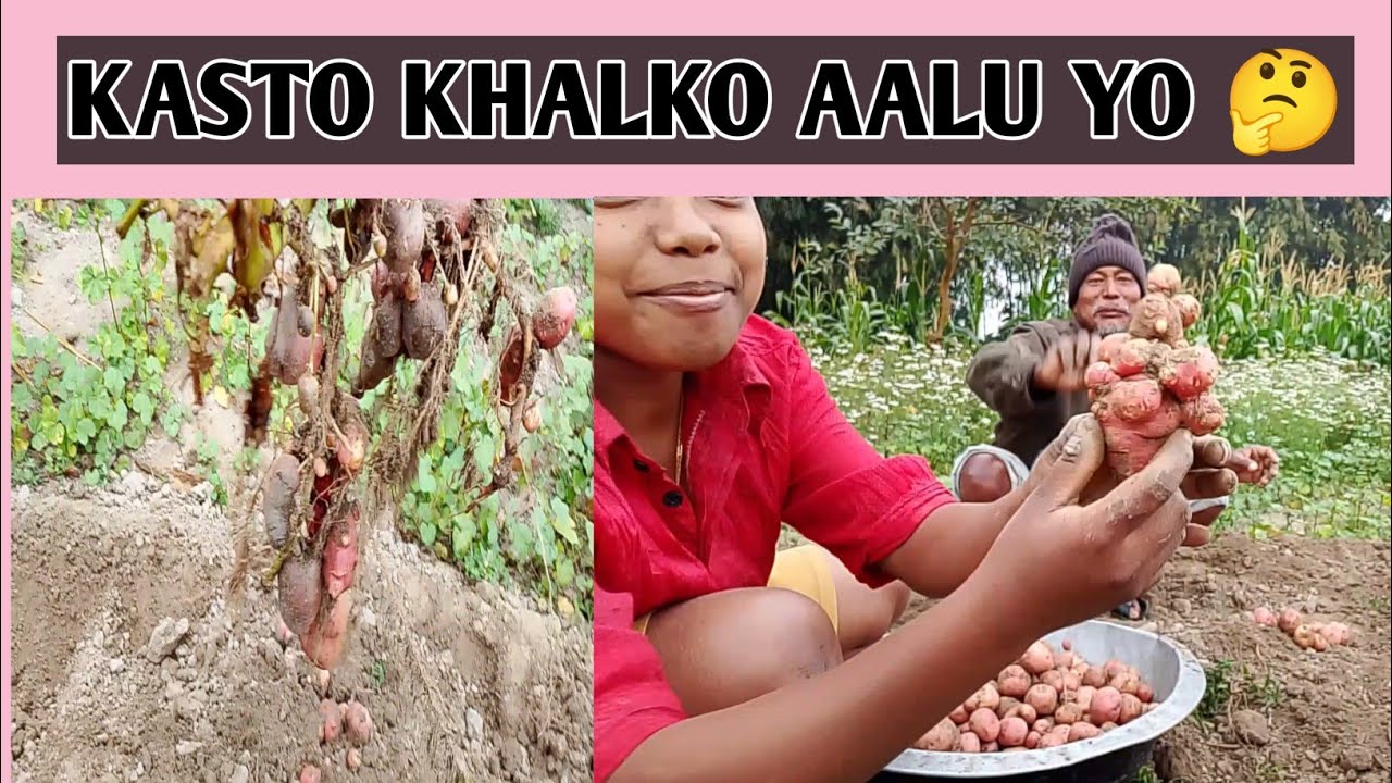 AAJA GARYO KAM!