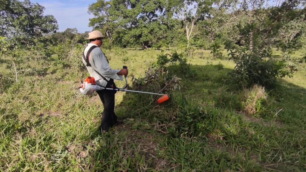 Roçando pasto com a roçadeira Sthill.