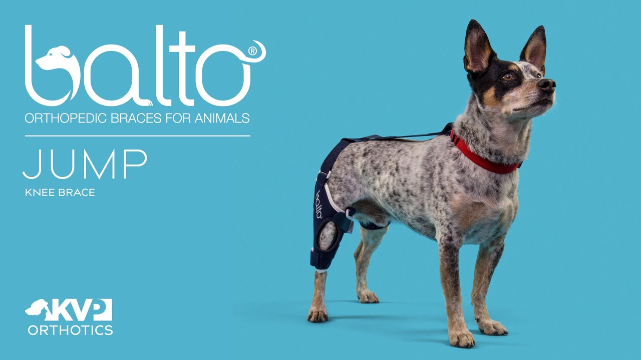 Balto® Jump – Knee Brace