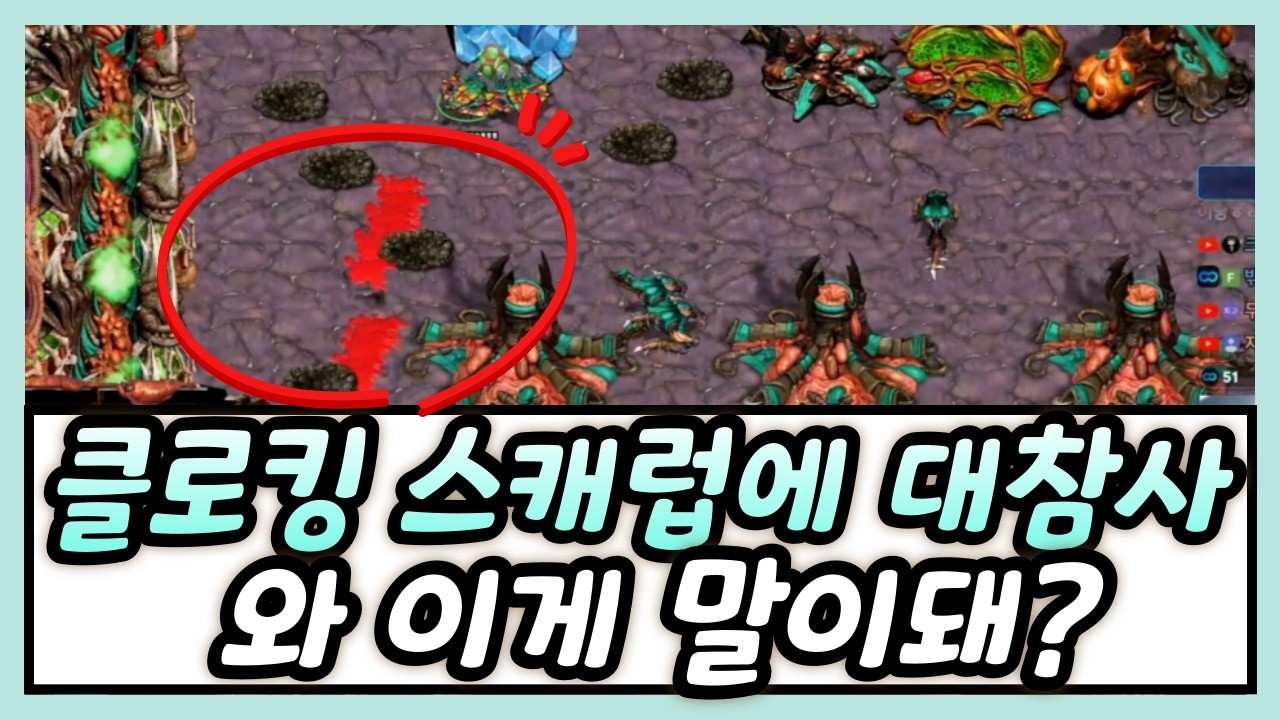 기괴한 스캐럽에 당했습니다, 와 진짜 개사기