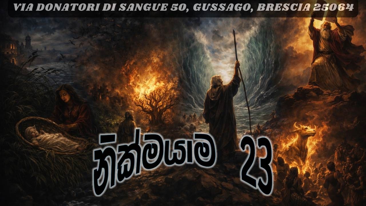 නික්මයාම 23 පරිච්ඡේදය​ l Exodus Chapter 23