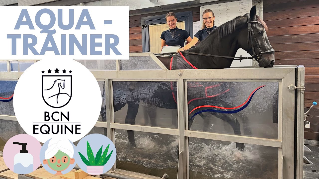 SPA para caballos 🧖‍♀️🐴 – Liberty al Aqua-trainer 💦