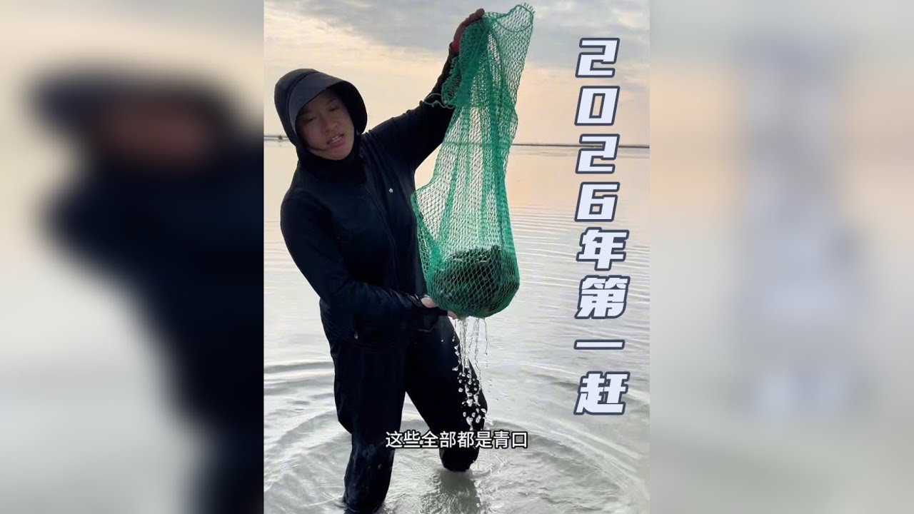 2026年第一赶，有青口，车螺，沙虫，螃蟹，车螺，又是收获满满的一天
