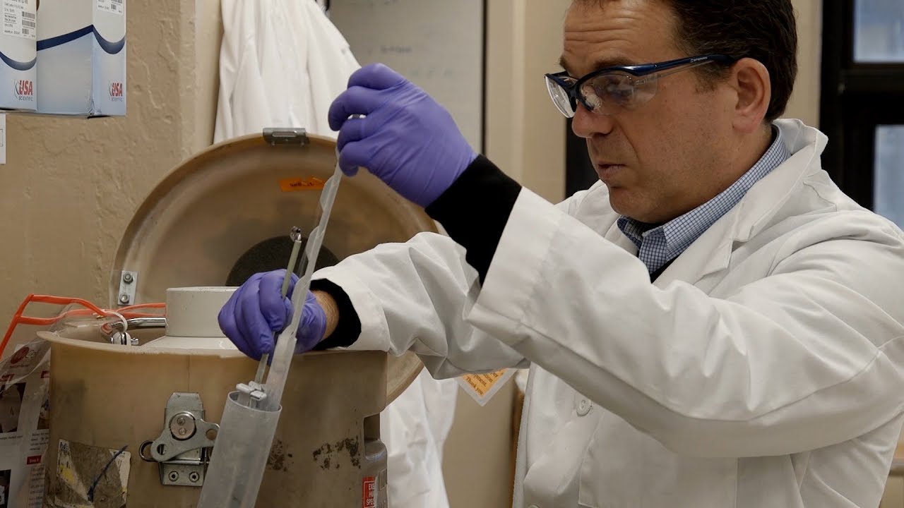 The Carney Institute for Brain Science at Brown University