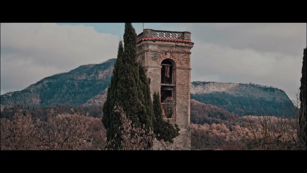 Bosc de la Grevolosa