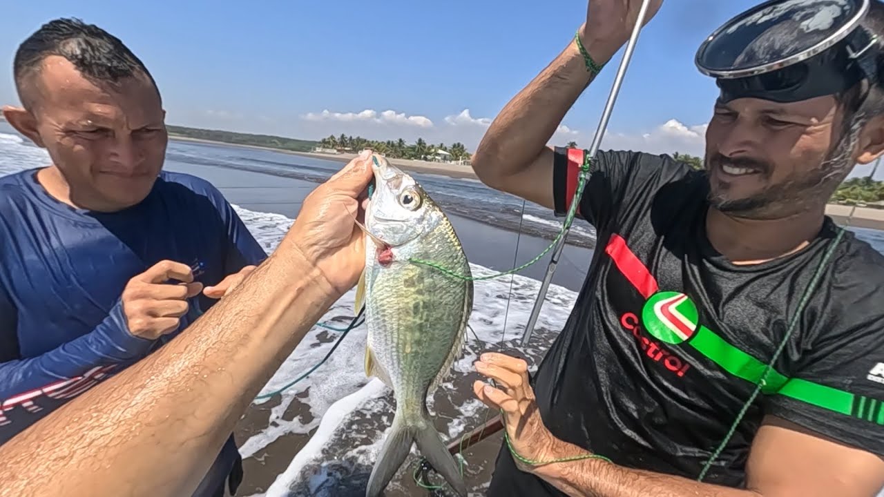 Pesca señores con arpón en el mar no te lo pierdas 