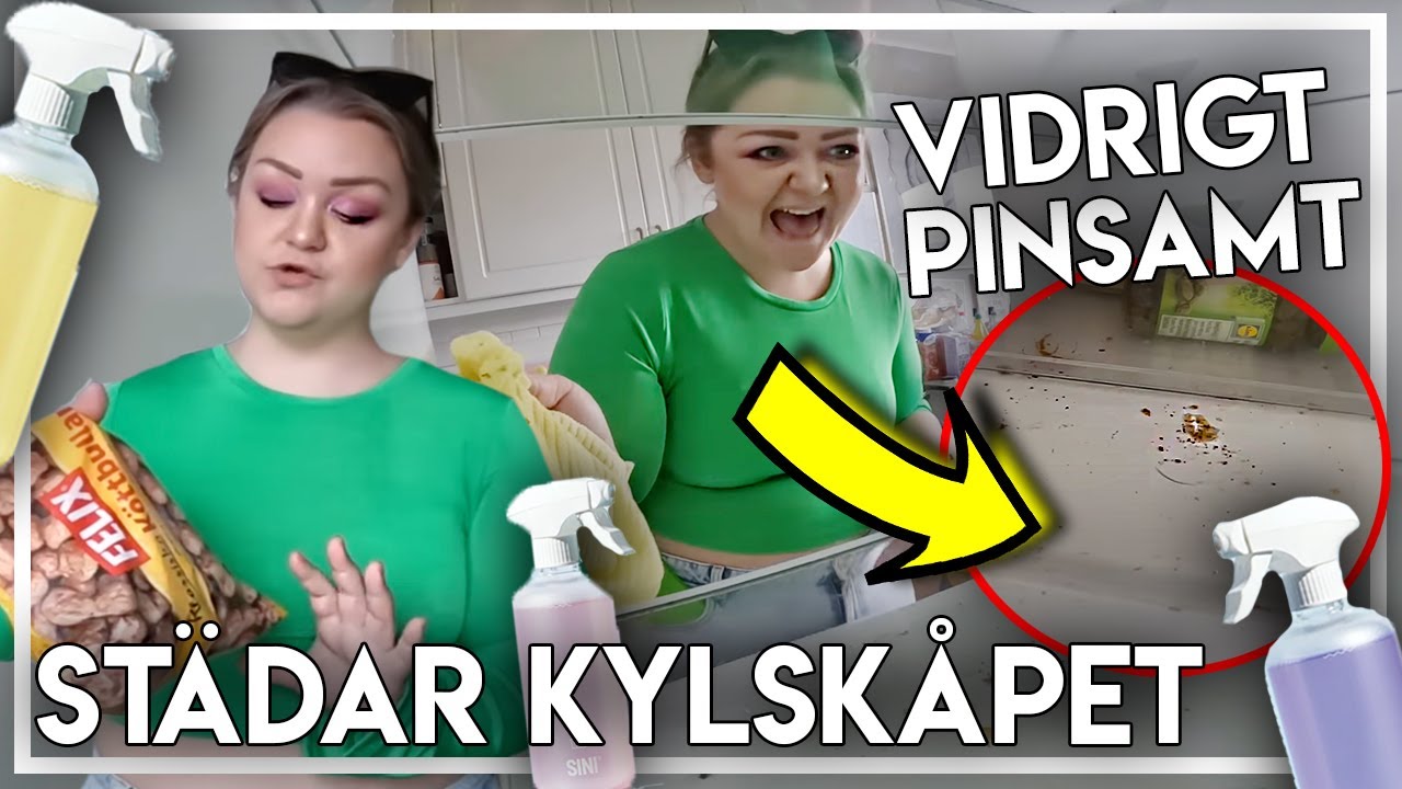 STÄDAR, RENSAR & FIXAR KYLSKÅPET. (STORHANDLAR + HAUL)