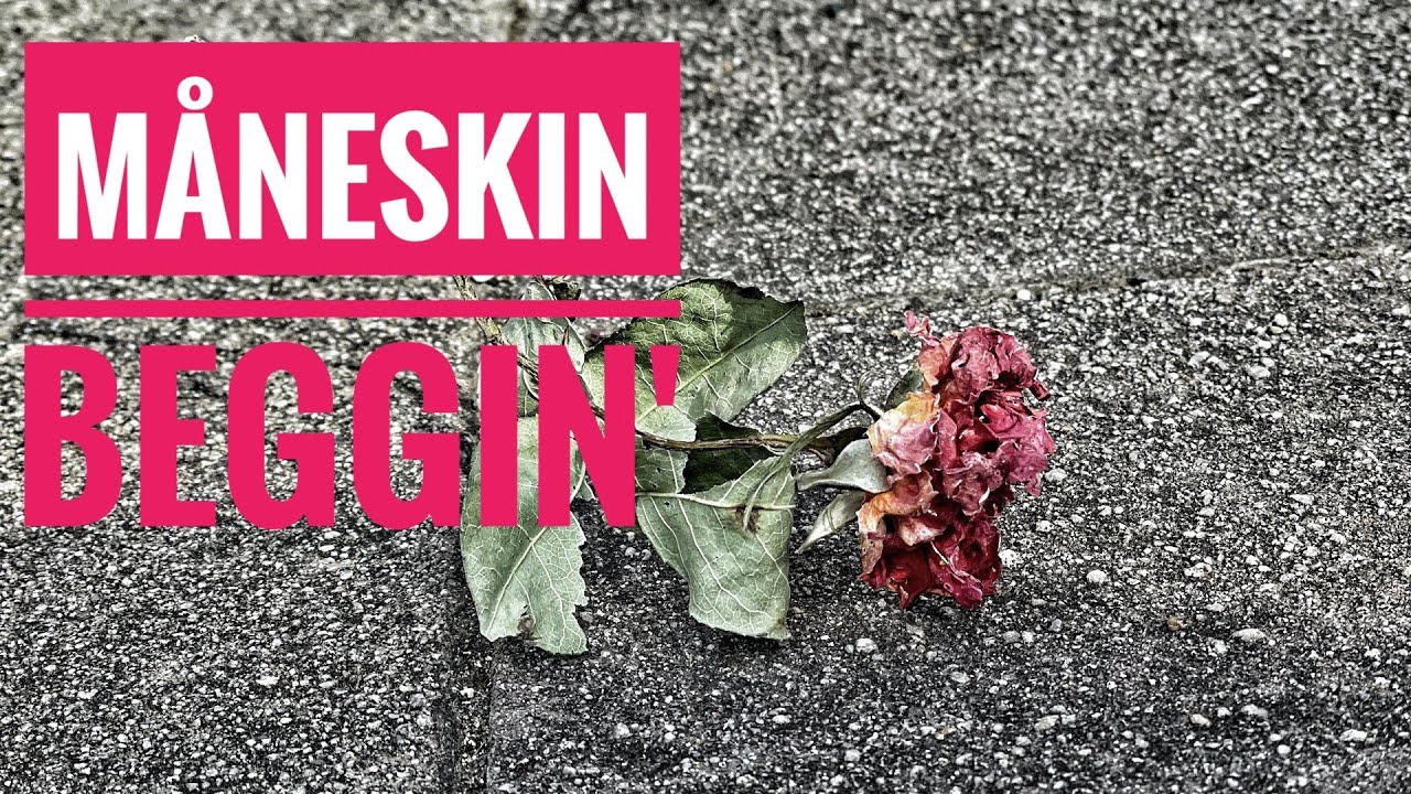 【カタカナ歌詞】Maneskin「Beggin'」
