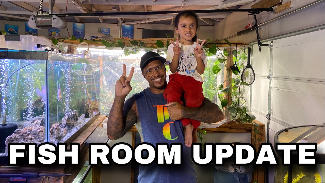 FISH ROOM UPDATE